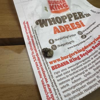 Hamburgerin İçinden Böcek Çıkması Ve Yetersiz Destek