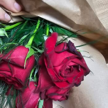 Hayal Kırıklığı Yaratan Kalitesiz Çiçek Ve Yetersiz Müşteri Hizmeti