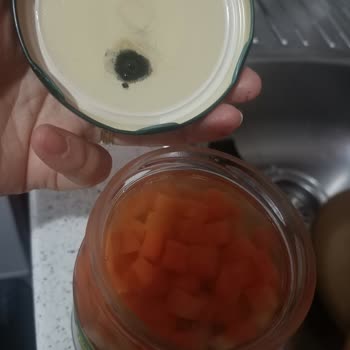 Tat Garnitür Konservesinde Tekrar Küf Sorunu Ve Çözüm Eksikliği