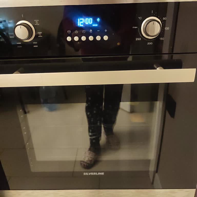 Silverline Fırında Sürekli Alarm Sorunu Kullanımı Engelliyor