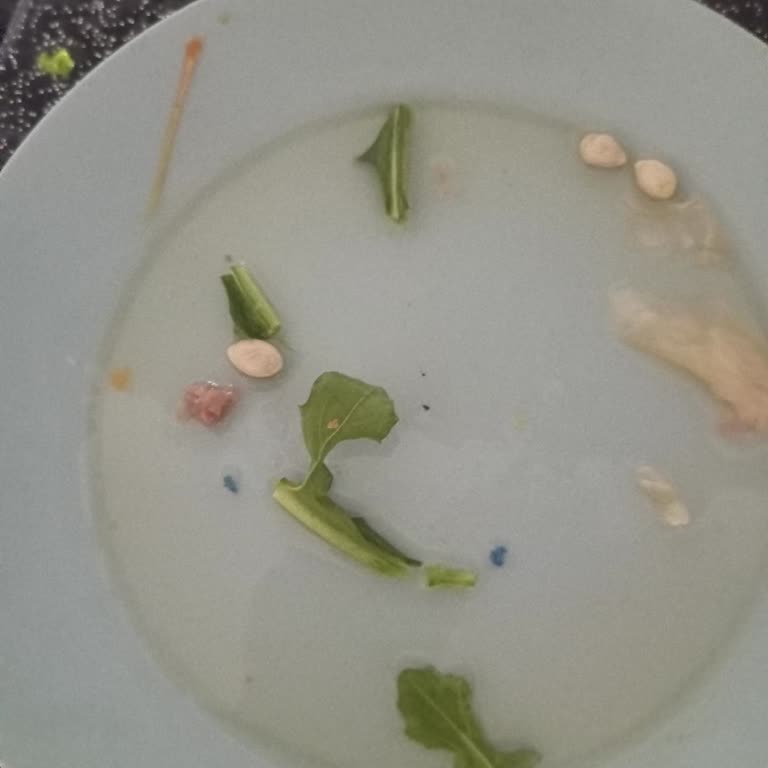 Dana Kuşbaşı Etin İçinden Çıkan Mavi Plastik Parçası Endişesi