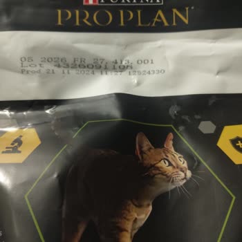 Kedilerim Hastalandı, Mamadan Kurtlar Çıktı Ve Ciddi Maddi Kaybım Oldu