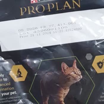 Kedilerim Hastalandı, Mamadan Kurtlar Çıktı Ve Ciddi Maddi Kaybım Oldu