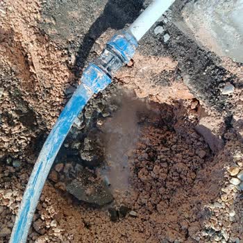 Çevre Ve Şehircilik Bakanlığı Deprem Konutunda Teslimat Sonrası Ciddi Eksiklikler Ve Mağduriyet