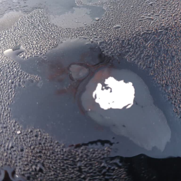 Sıfır Araçta Boya Problemi Ve İlgisizlik