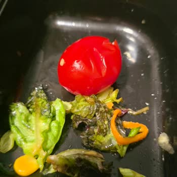 Soğuk Ve Eksik Gelen Sipariş, Bozuk Ürünler: Tavuk Dünyası Ve Yemeksepeti'nden Hayal Kırıklığı