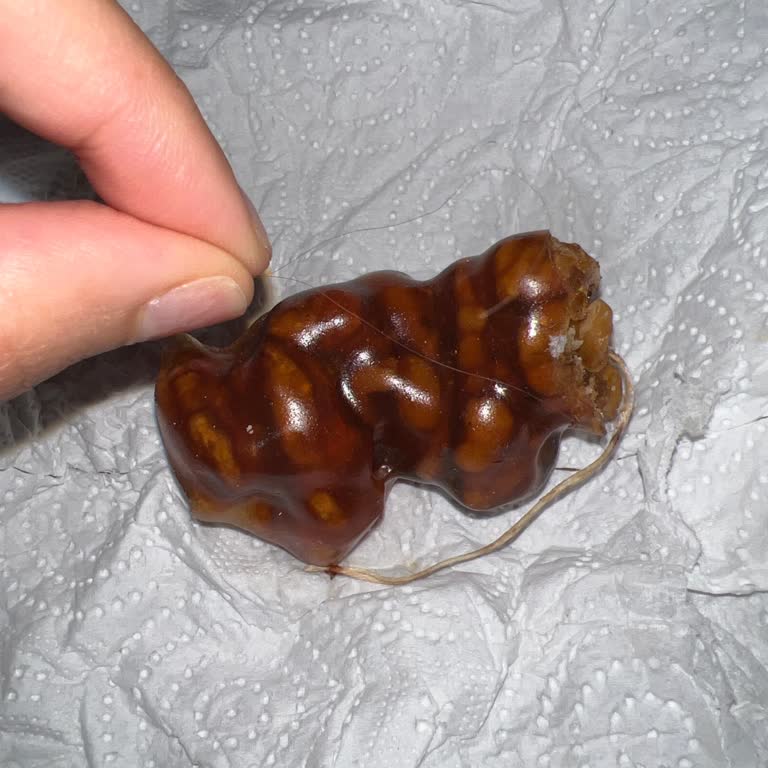 Makbul Cevizli Sucukta Saç Çıkması Ve Hijyen Sorunu