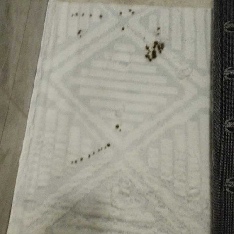 Açıköğretim Kayıt Ücreti Fatura Ödemesi Olarak İşleniyor Taksitlendirme Yapılamıyor