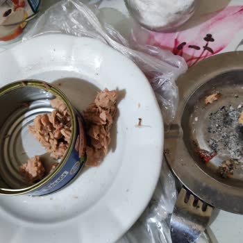 Derya Ton Balığı Ton Balığında Karşılaşılan Kılçık Tedirginliği