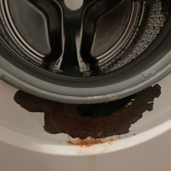 Çamaşır Makinemin Dış Cephesi Paslandı Ve Kapağı Kapanmıyor