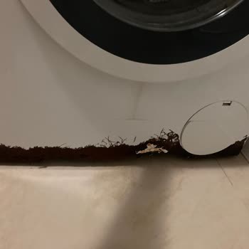 Çamaşır Makinemin Dış Cephesi Paslandı Ve Kapağı Kapanmıyor
