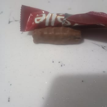 Tadelle Yarım Çikolata