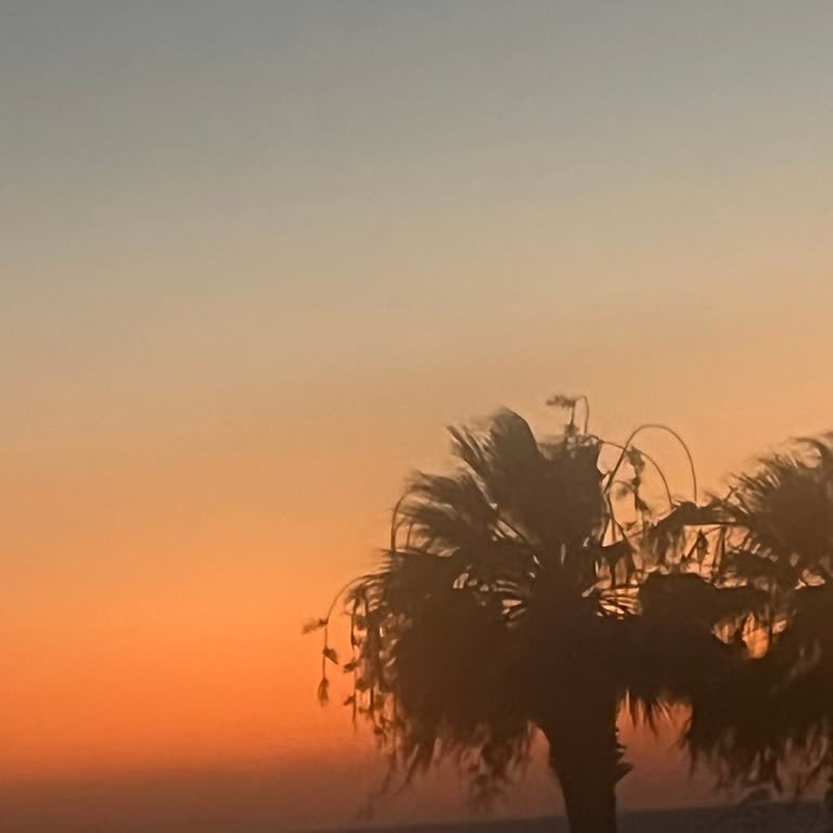 Her Şey Dahil Otelde Kötü Hizmet Ve Klima Sorunu