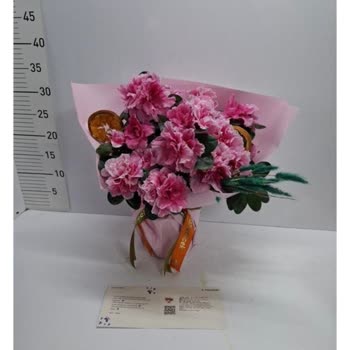 Siparişte Gönderilen Ürünün Kalitesiz ve Farklı Teslim Edilmesi