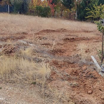 İzinsiz Yıkım Sonucu Tarım Alanımda Oluşan Zararlar Ve Belediyeden Geri Dönüş Alınamaması