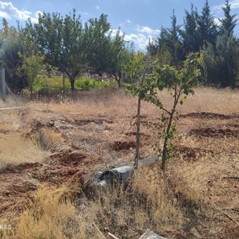 İzinsiz Yıkım Sonucu Tarım Alanımda Oluşan Zararlar Ve Belediyeden Geri Dönüş Alınamaması