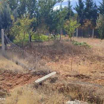 İzinsiz Yıkım Sonucu Tarım Alanımda Oluşan Zararlar Ve Belediyeden Geri Dönüş Alınamaması