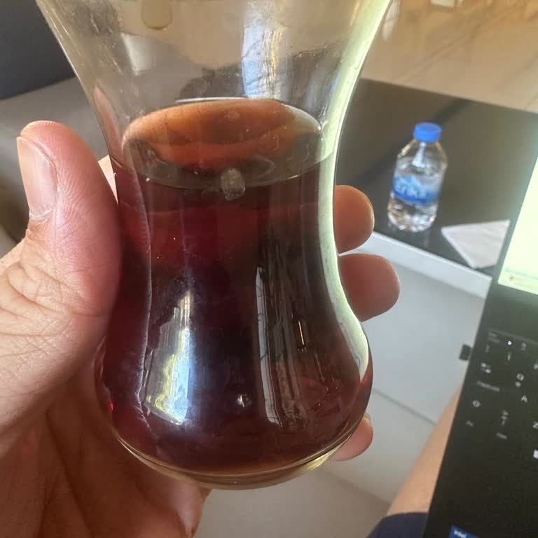 Hijyen Sorunları Ve İlgisiz Müşteri Hizmetleri Nedeniyle Ücret İadesi Talebi