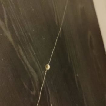 Kırık Ürün Teslimatı Ve İlgisiz Mağaza Yaklaşımıyla Yaşadığım Mağduriyet