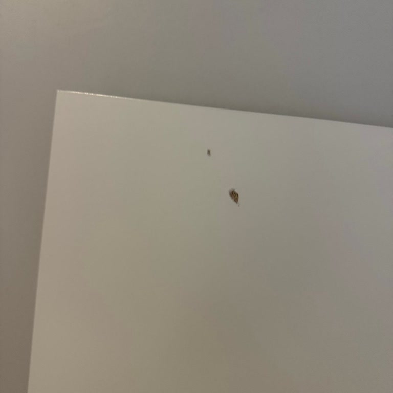 Kusurlu Ürün Ve Paketleme Sorumluluğunun Müşteriye Yüklenmesi Nedeniyle Yaşanan Mağduriyet