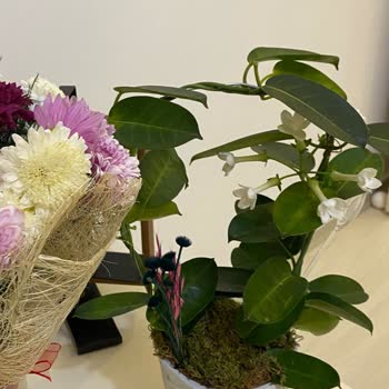 Köksüz Çiçek Gönderimi Ve Müşteri Hizmetlerinden Dönüş Alamadım