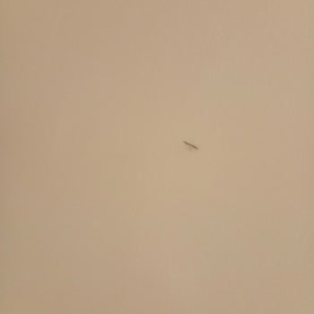 Böcekli Oda, Engelliye Uygunsuz Hizmet Ve İade Reddi: Agoda'dan Mağduriyet