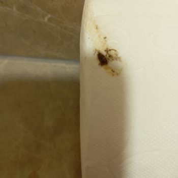 Böcekli Oda, Engelliye Uygunsuz Hizmet Ve İade Reddi: Agoda'dan Mağduriyet