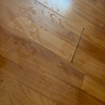 Vileda Mopun Pedalı Bozuldu, Müşteri Hizmetlerine Ulaşılamıyor