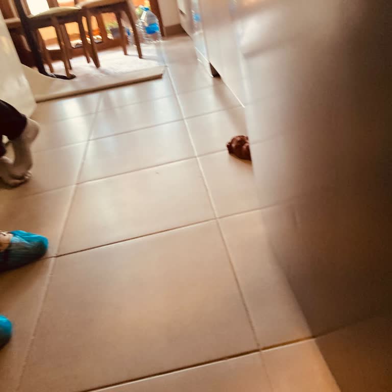 Teslimatta Hasarlı Gelen Buzdolabı Ve Yetersiz Müşteri Hizmeti