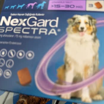 Aynı İlaca İki Veterinerde Büyük Fiyat Farkı Yaşadım