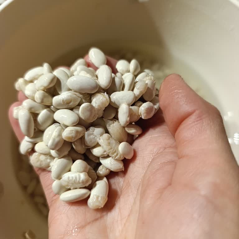 Aldığım Fasulyenin Tazeliği Ve Kalitesiyle İlgili Sorun Yaşadım