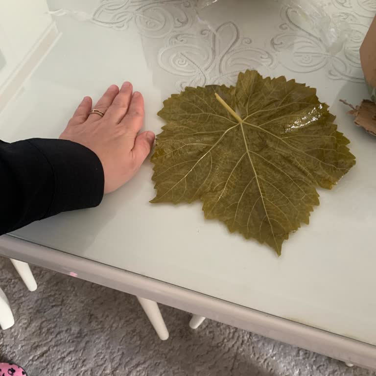 @gulersarkuteriyoresel Gelen Ürün Videoda Gözüktüğü Gibi Değildi!