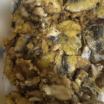 Sipariş Edilen Balıkların Kötü Durumu Ve Yemeksepeti'nin İade Sürecindeki İlgisizliği