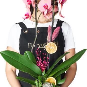 Sipariş Edilen Orkide Beklentileri Karşılamadı Ve Ürün Görseli Paylaşılmadı