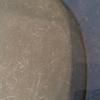 Kafe Şubesinde Temizlik ve Personel İlgisi Hakkında Olumsuz Deneyim