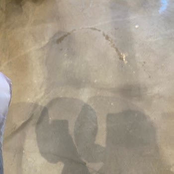 Kafe Şubesinde Temizlik ve Personel İlgisi Hakkında Olumsuz Deneyim