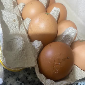 Eksik Ve Hasarlı Ürünler, Gecikmeli Teslimat: Taze Direkt’te Hayal Kırıklığı