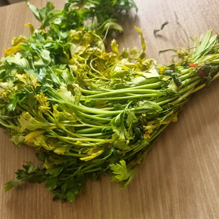 Cepte Şok Siparişimde Gecikme, Eksik Ve Hatalı Ürünler