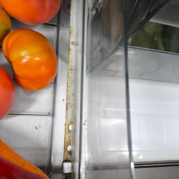 Vestel Puzzle NF655X Buzdolabında Sürekli Buzlanma Ve Panel Arızası Mağduriyeti