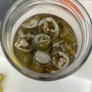 Buzdolabında Gıdalar Sürekli Bozuluyor, Mağduriyetim Giderilmiyor