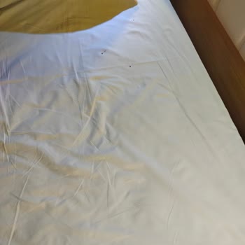 Otel Odasında Tahta Kurusu Ve Yetersiz Müşteri Hizmeti Nedeniyle Mağduriyet