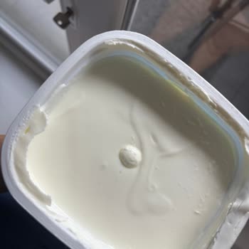 Son Kullanma Tarihi Geçmemiş Yoğurtta Küf Oluşumu Mağduriyet Yarattı