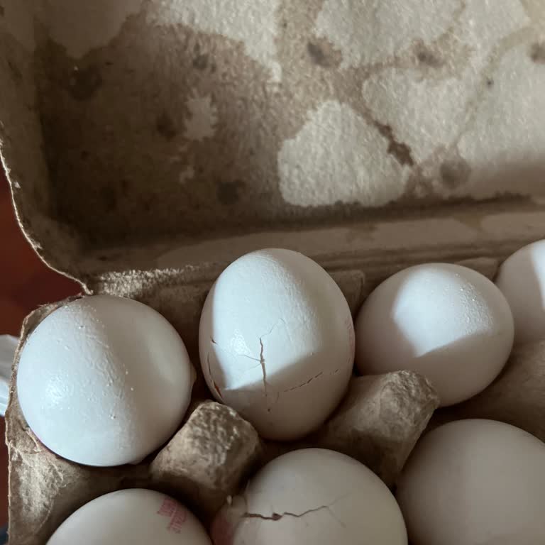 Kırık Yumurta Teslimatı Ve Yetersiz İade Süreci Nedeniyle Mağduriyet