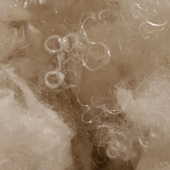 Aldığım Yastık Hem Kötü Kokuyor Hem De Pamuk Dolgu Yerine Farklı Malzeme Çıktı