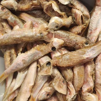 Taze Olmayan Balık Teslimatı Ve Ücret İadesi Talebi