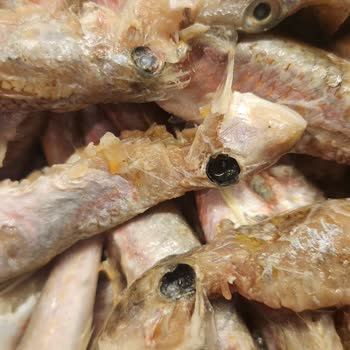 Taze Olmayan Balık Teslimatı Ve Ücret İadesi Talebi