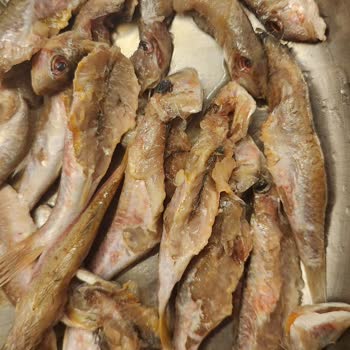 Taze Olmayan Balık Teslimatı Ve Ücret İadesi Talebi