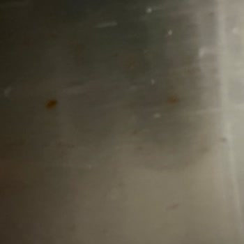 Siemens Buzdolabı Kapaklarında Garanti Sonrası Paslanma Sorunu