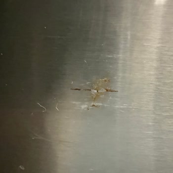 Siemens Buzdolabı Kapaklarında Garanti Sonrası Paslanma Sorunu