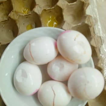 Migros Her Siparişte Kırık Yumurta Ve Eksik Ürün: Müşteri Mağduriyeti Zirvede